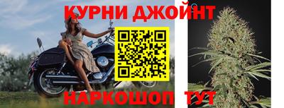 крисы Донской