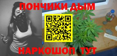 крисы Донской