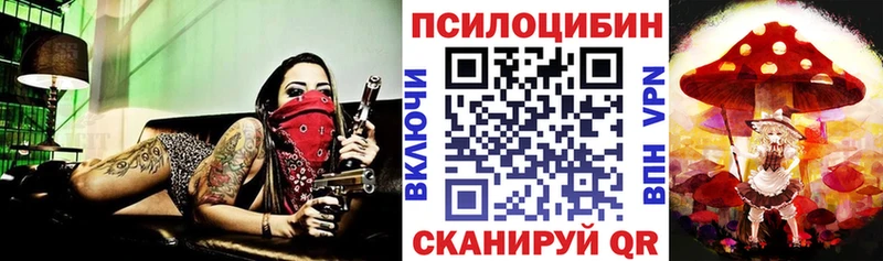 Псилоцибиновые грибы Psilocybine cubensis Мичуринск