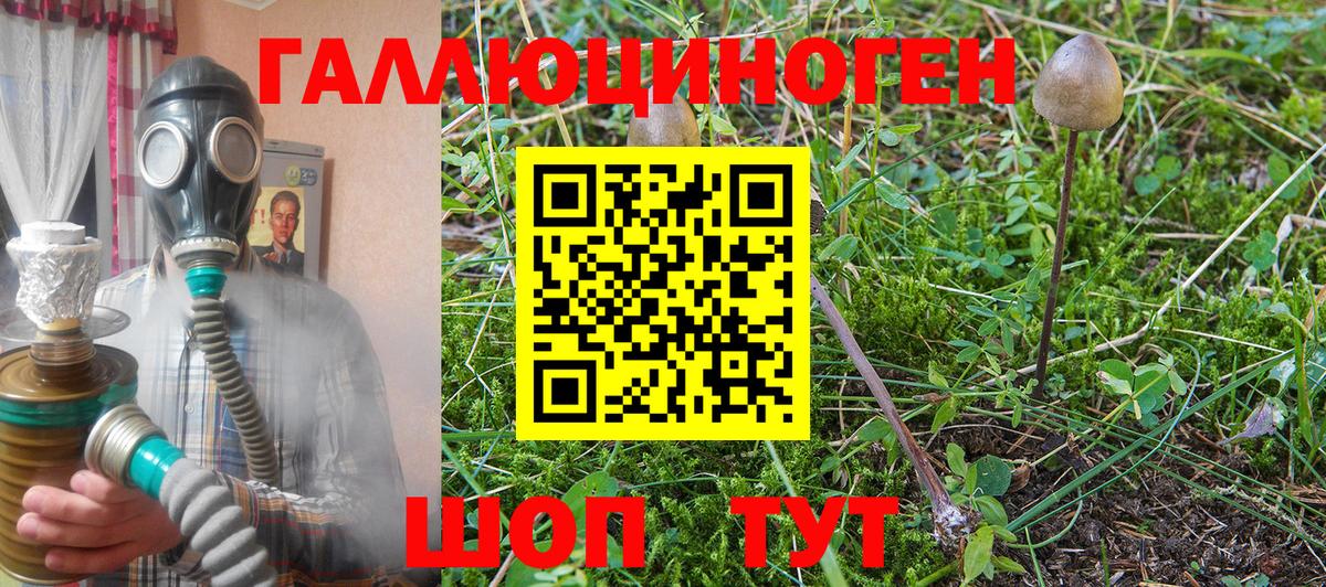 Галлюциногенные грибы MAGIC MUSHROOMS  Вход с VPN  купить наркотики цена  Мичуринск 