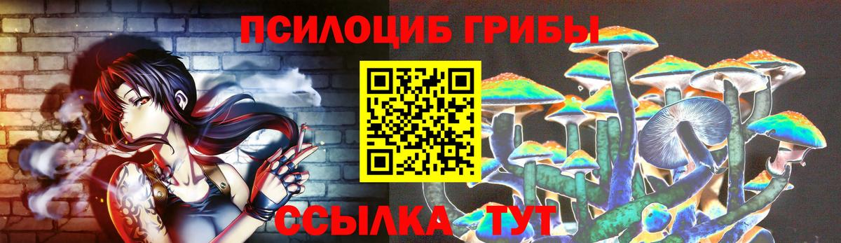 Псилоцибиновые грибы мицелий Мичуринск
