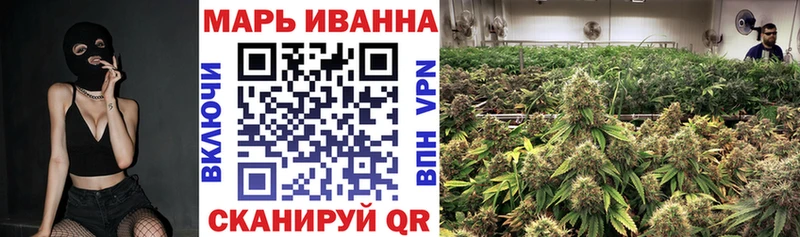 Каннабис сатива Мичуринск